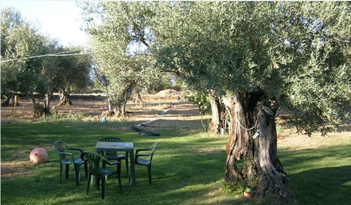 Hotel Rural Hojaranzos Tejeda Del Tietar ร้านอาหาร รูปภาพ